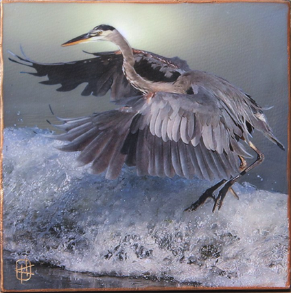 Heron Dance